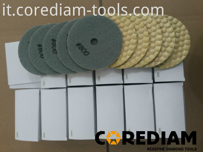 dry polishing pads-1